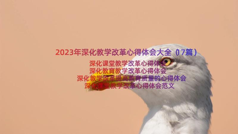 2023年深化教学改革心得体会大全（17篇）