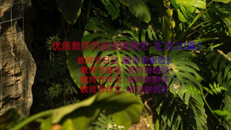 优质教师节老师谢谢您（汇总20篇）