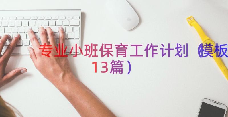 专业小班保育工作计划（模板13篇）