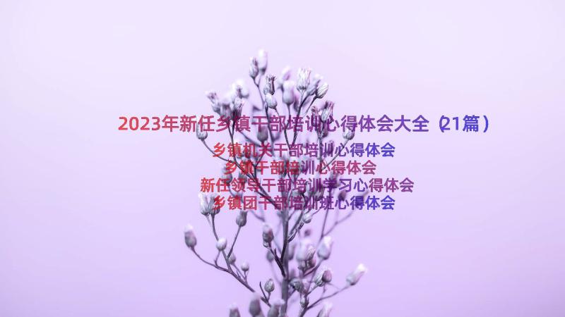 2023年新任乡镇干部培训心得体会大全（21篇）