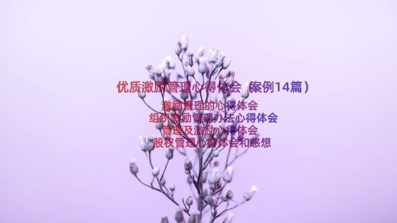 优质激励管理心得体会（案例14篇）