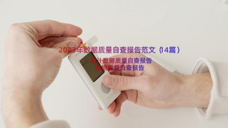 2023年数据质量自查报告范文（14篇）