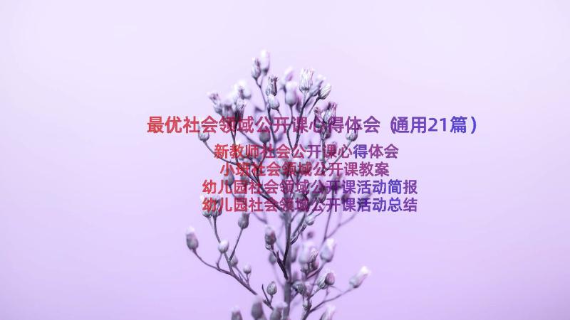 最优社会领域公开课心得体会（通用21篇）