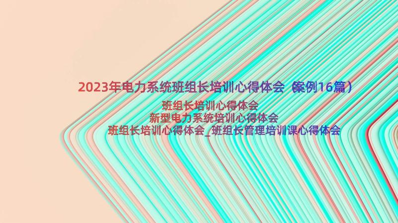 2023年电力系统班组长培训心得体会（案例16篇）