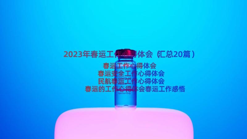 2023年春运工作心得体会（汇总20篇）