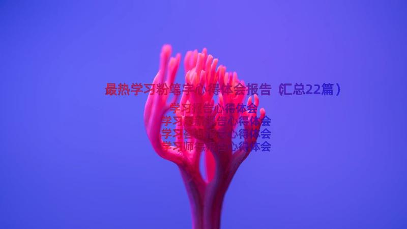 最热学习粉笔字心得体会报告（汇总22篇）