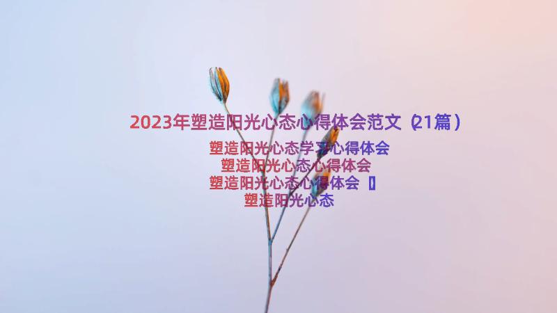 2023年塑造阳光心态心得体会范文（21篇）