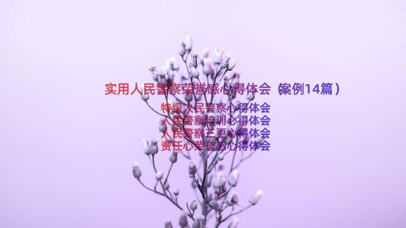 实用人民警察荣誉感心得体会（案例14篇）