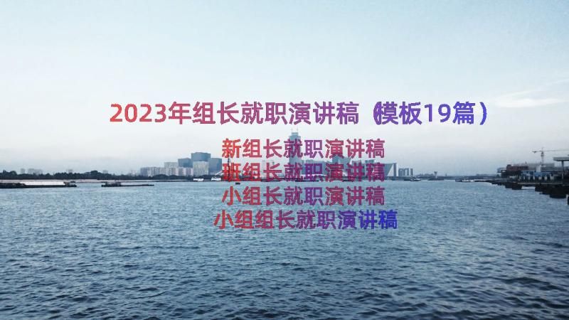 2023年组长就职演讲稿（模板19篇）