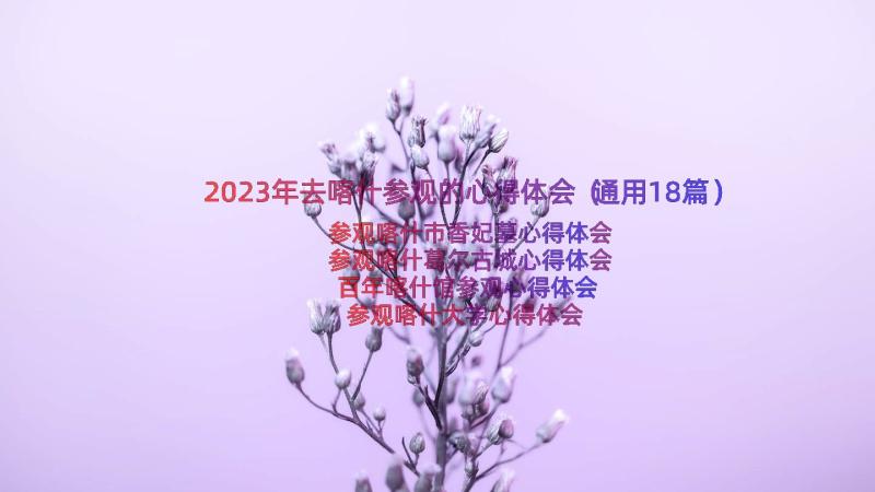 2023年去喀什参观的心得体会（通用18篇）