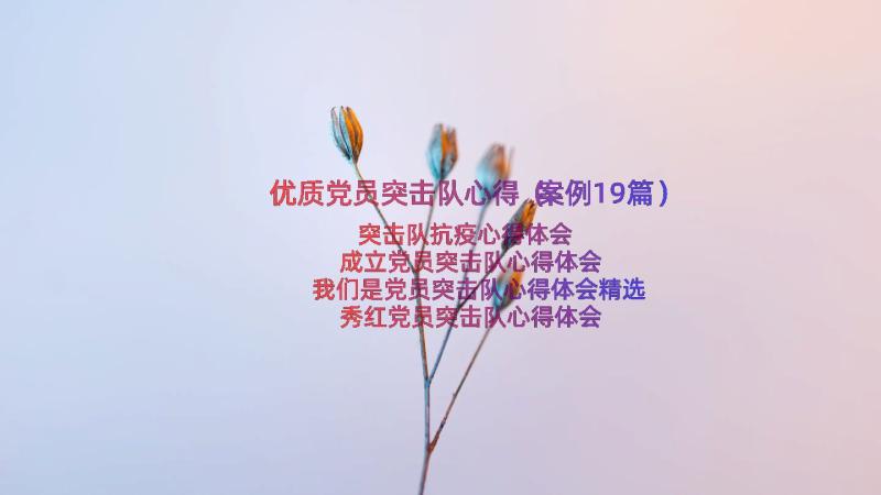 优质党员突击队心得（案例19篇）