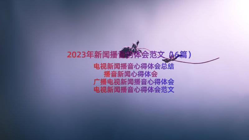 2023年新闻播音的体会范文（16篇）