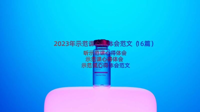 2023年示范课心得体会范文（16篇）