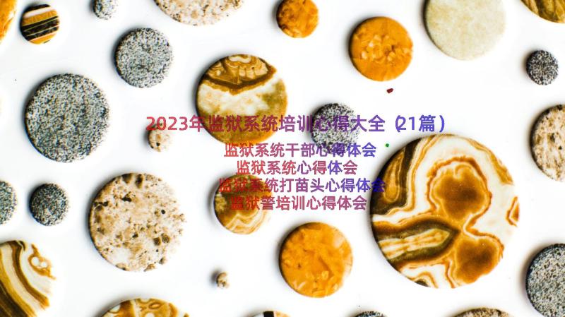 2023年监狱系统培训心得大全（21篇）