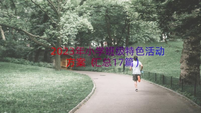 2023年小学班级特色活动方案（汇总17篇）