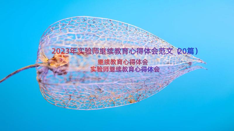 2023年实验师继续教育心得体会范文（20篇）