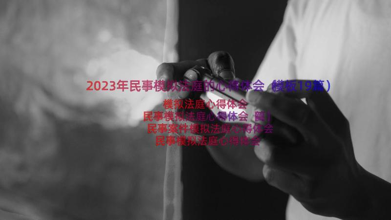 2023年民事模拟法庭的心得体会（模板19篇）