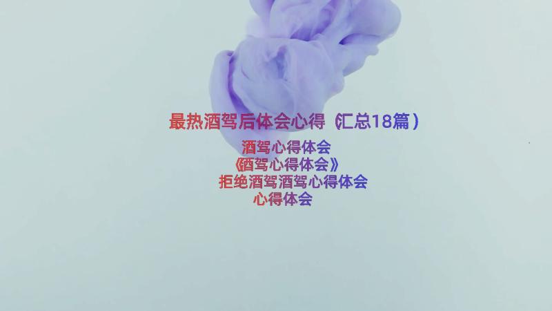 最热酒驾后体会心得（汇总18篇）