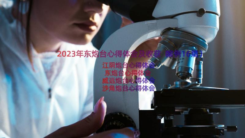 2023年东炮台心得体会及收获（案例16篇）