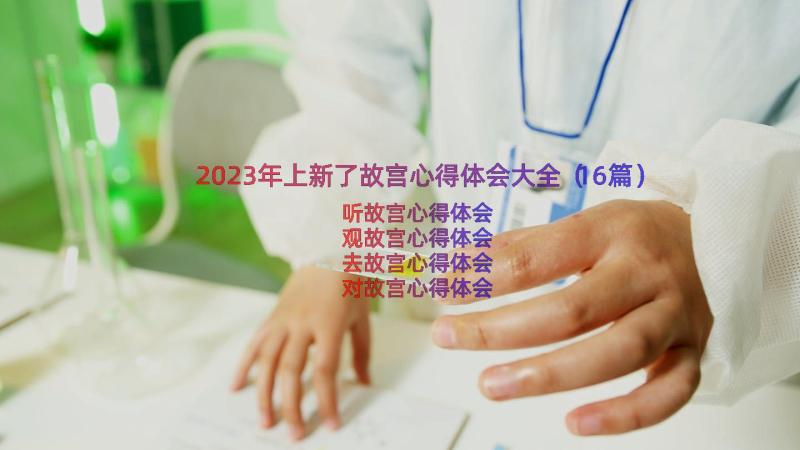 2023年上新了故宫心得体会大全（16篇）