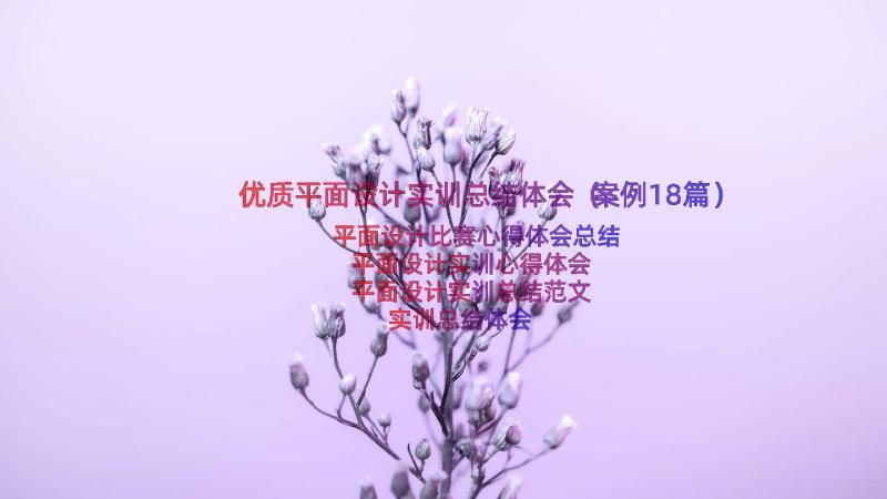 优质平面设计实训总结体会（案例18篇）