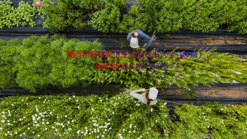 优质创建国家卫生城倡议书大全（20篇）