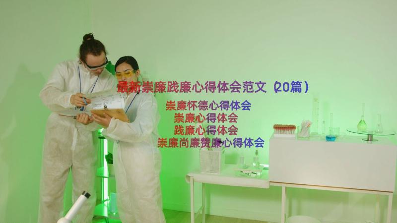 最新崇廉践廉心得体会范文（20篇）