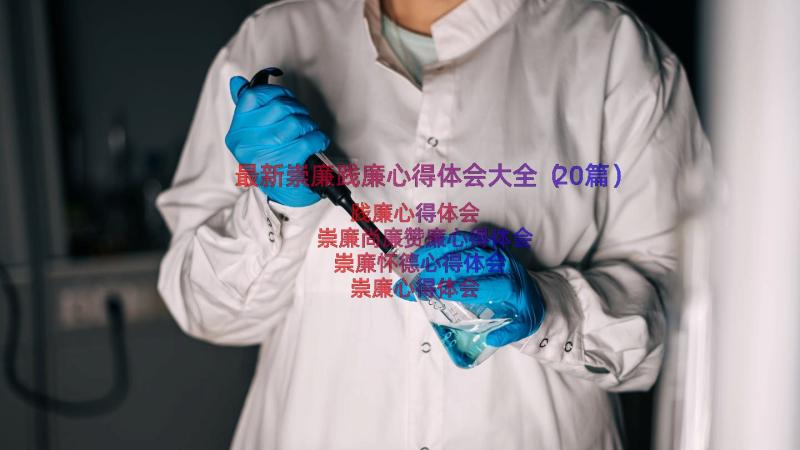 最新崇廉践廉心得体会大全（20篇）