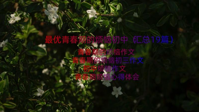 最优青春期的烦恼初中（汇总19篇）