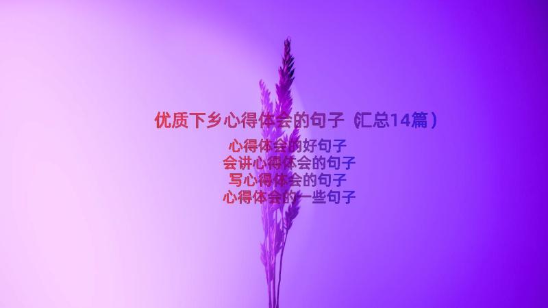 优质下乡心得体会的句子（汇总14篇）