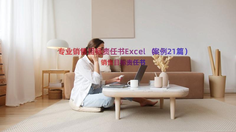 专业销售目标责任书Excel（案例21篇）