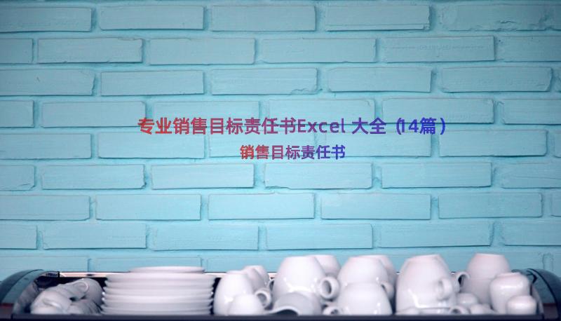 专业销售目标责任书Excel大全（14篇）