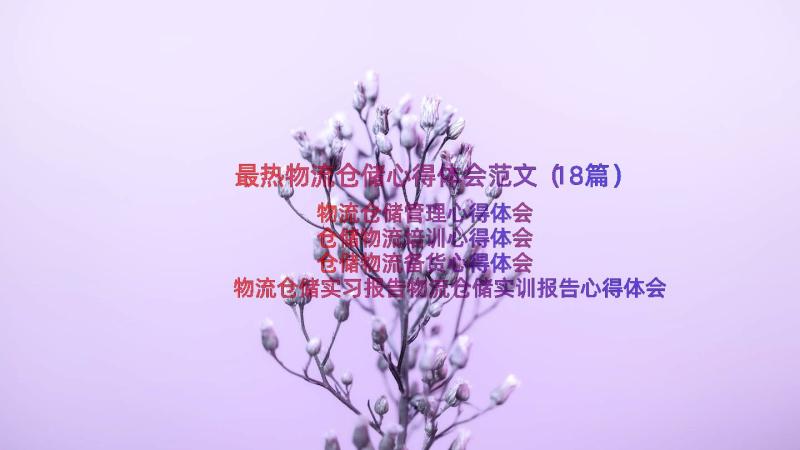 最热物流仓储心得体会范文（18篇）