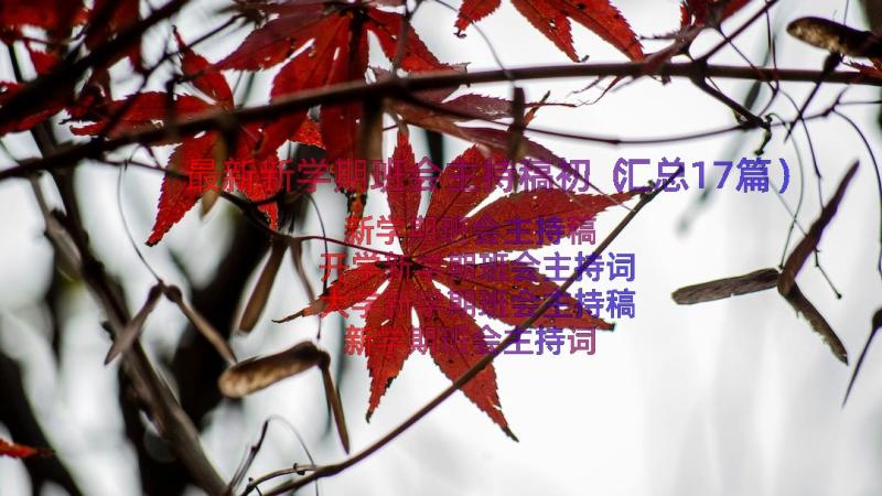 最新新学期班会主持稿初（汇总17篇）