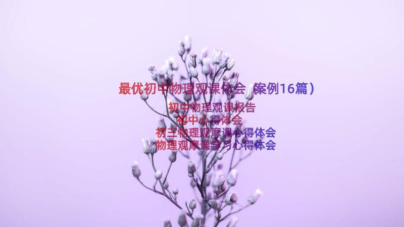 最优初中物理观课体会（案例16篇）