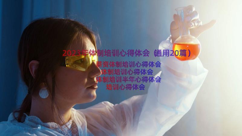 2023年体制培训心得体会（通用20篇）