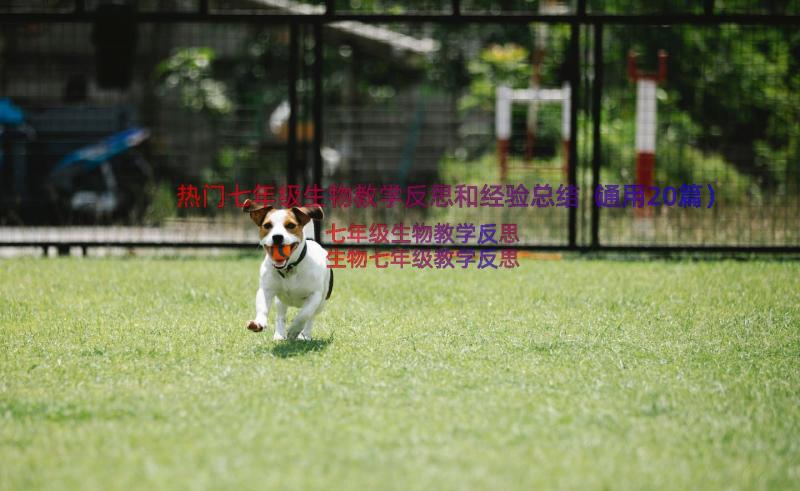 热门七年级生物教学反思和经验总结（通用20篇）