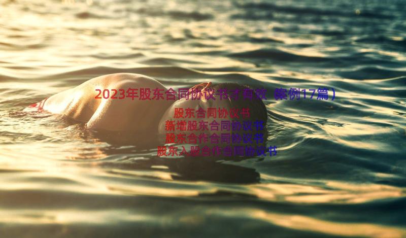 2023年股东合同协议书才有效（案例17篇）