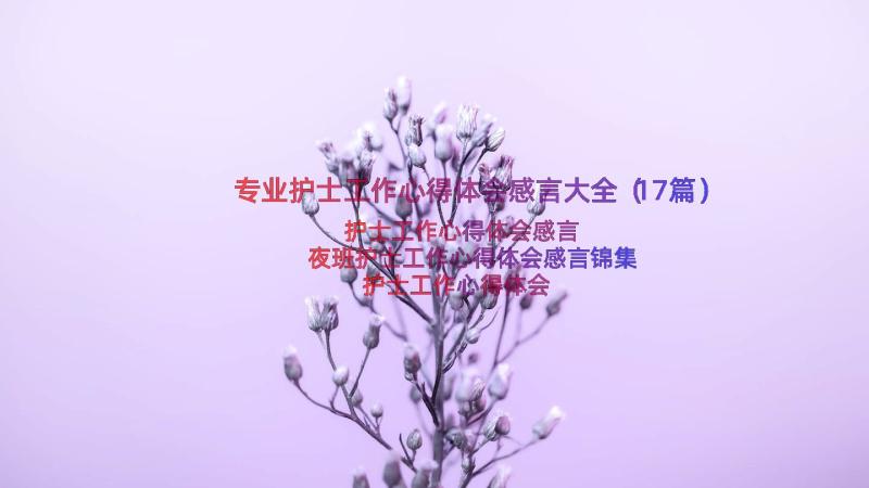 专业护士工作心得体会感言大全（17篇）