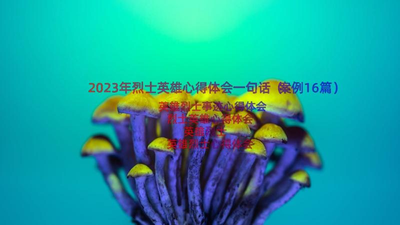 2023年烈士英雄心得体会一句话（案例16篇）