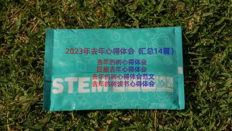 2023年去年心得体会（汇总14篇）