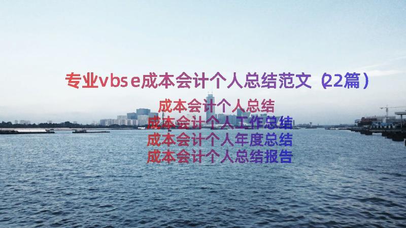 专业vbse成本会计个人总结范文（22篇）