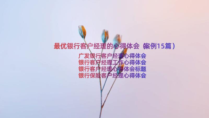 最优银行客户经理的心得体会（案例15篇）