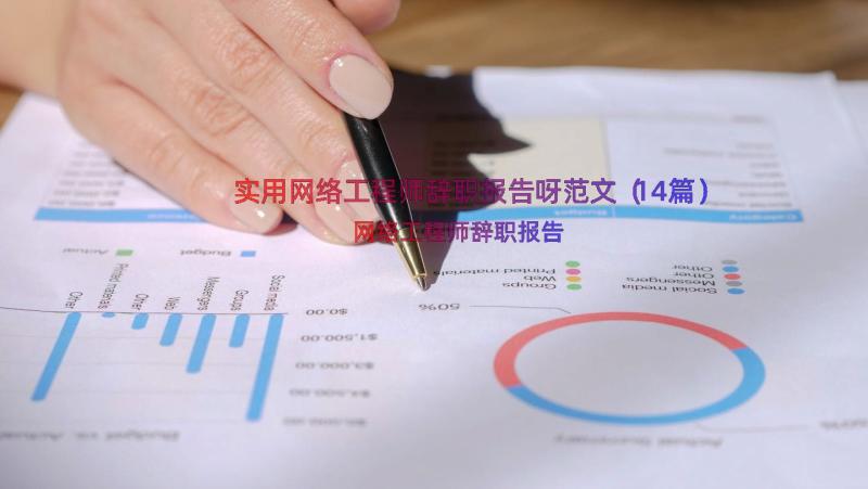 实用网络工程师辞职报告呀范文（14篇）