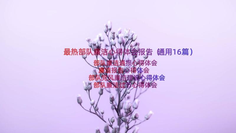 最热部队廉洁心得体会报告（通用16篇）