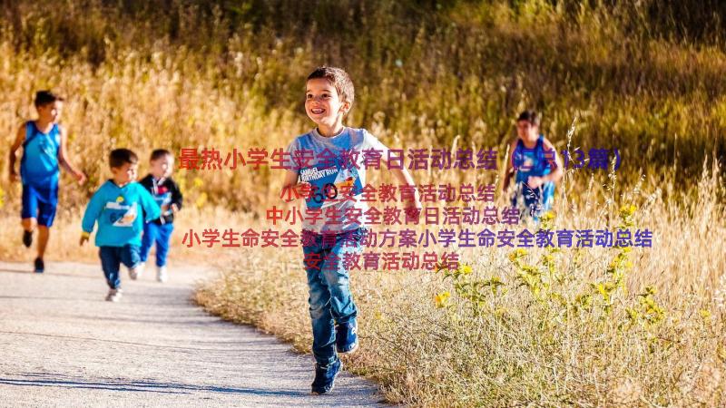 最热小学生安全教育日活动总结（汇总13篇）