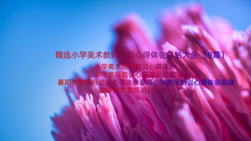 精选小学美术教师培训心得体会总结大全（19篇）