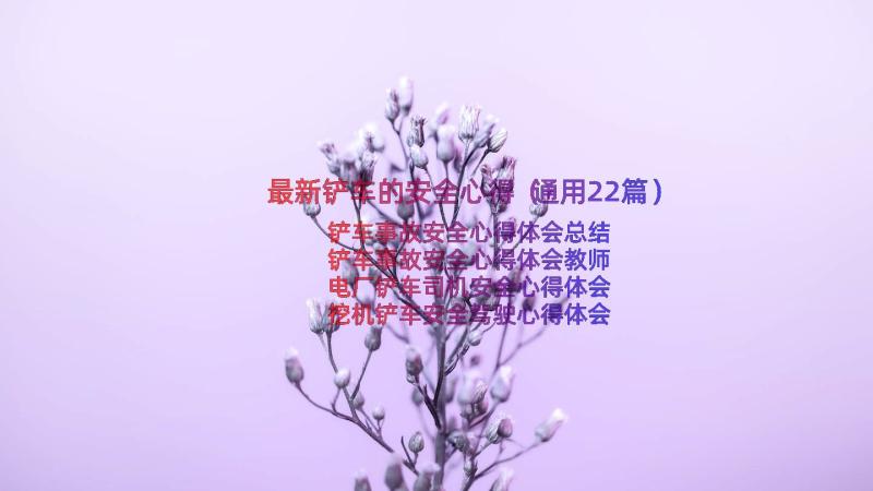 最新铲车的安全心得（通用22篇）