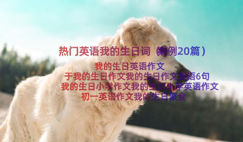 热门英语我的生日词（案例20篇）