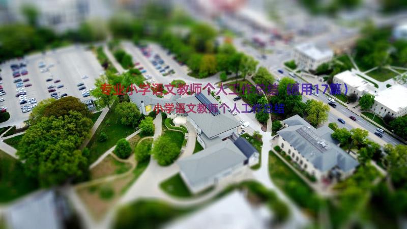 专业小学语文教师个人工作总结（通用17篇）